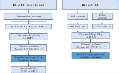 LC-MS based urine untargeted metabolomic analyses to identify and subdivide urothelial cancer